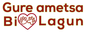 logo-Gure-ametsa-Bi-lagun