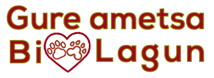 logo-Gure-ametsa-Bi-lagun