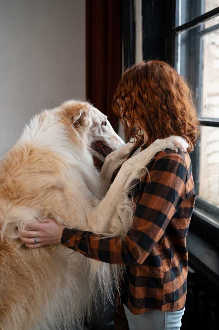 Lee más sobre el artículo Cómo Ayudar a Perros y Gatos a Sentirse Más Tranquilos y Felices